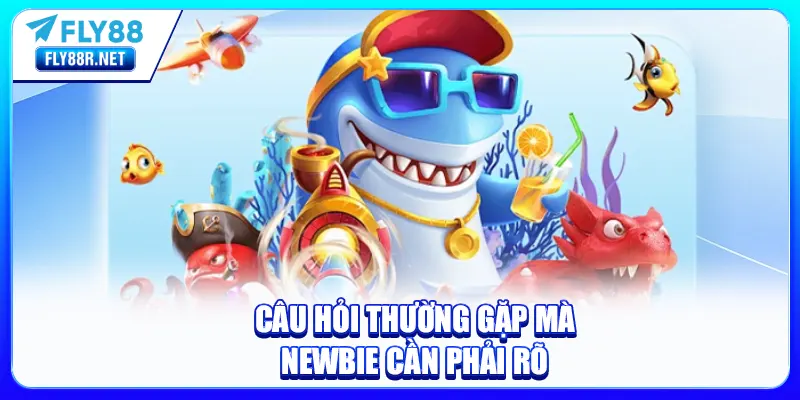 Câu hỏi thường gặp mà newbie cần phải rõ